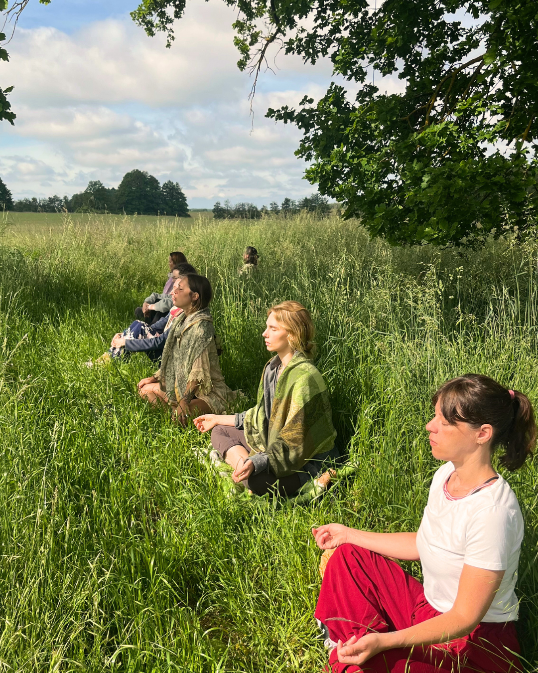 Meditation auf dem Feld